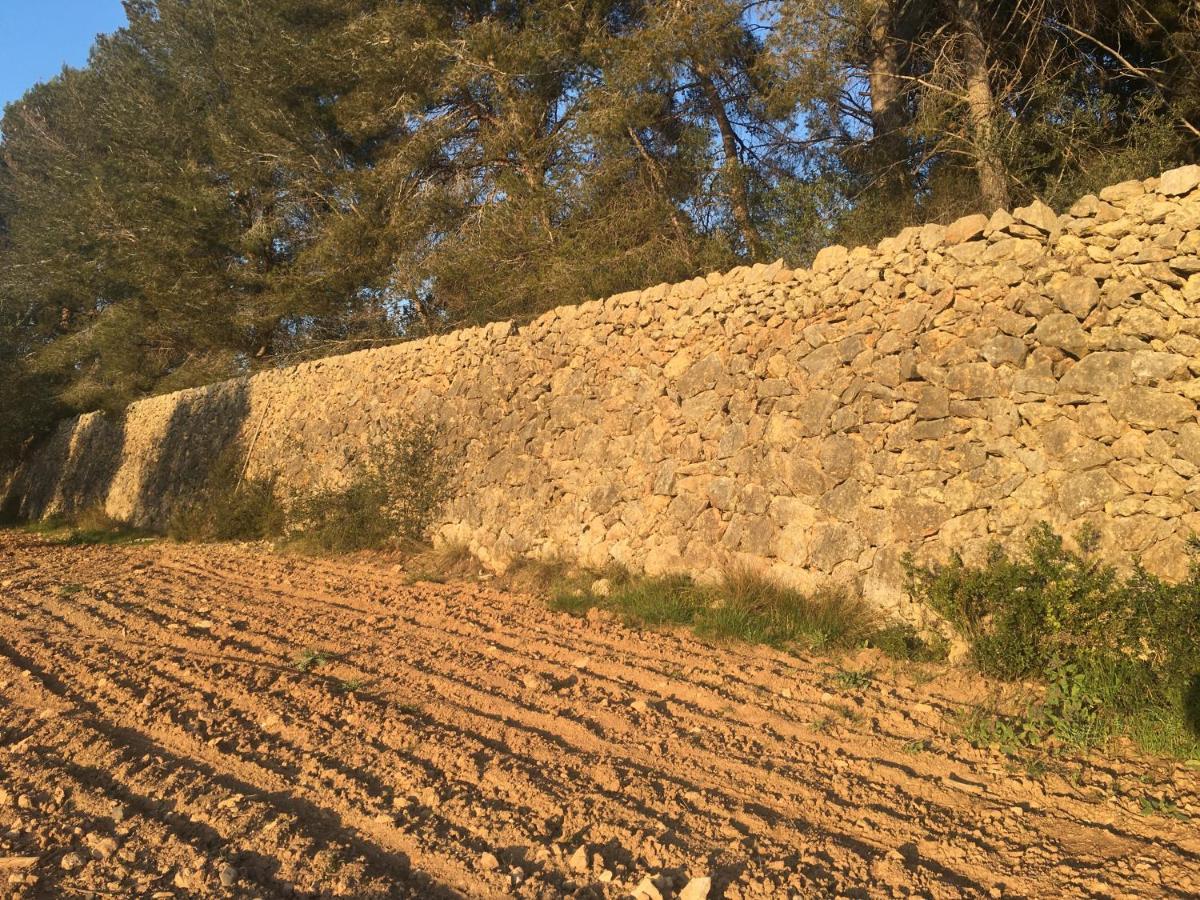 Casa Con Gran Jardin Cerca De La Playa - Baix Villa Tarragona Eksteriør billede